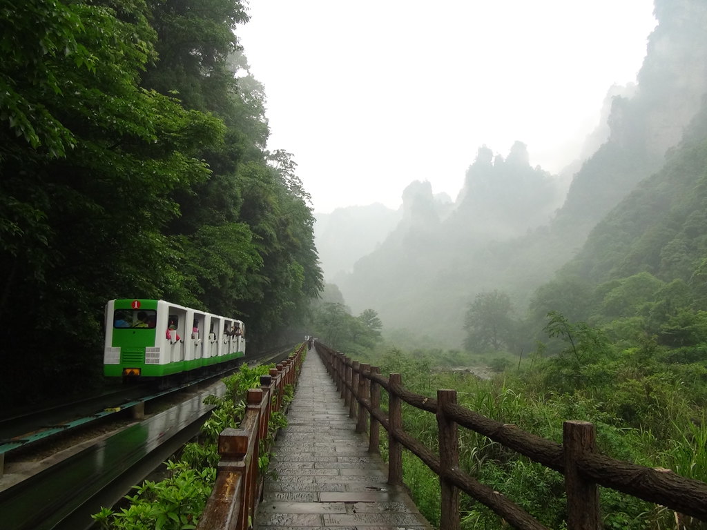 张家界旅游天天下雨怎么办,张家界旅游攻略下雨怎么玩