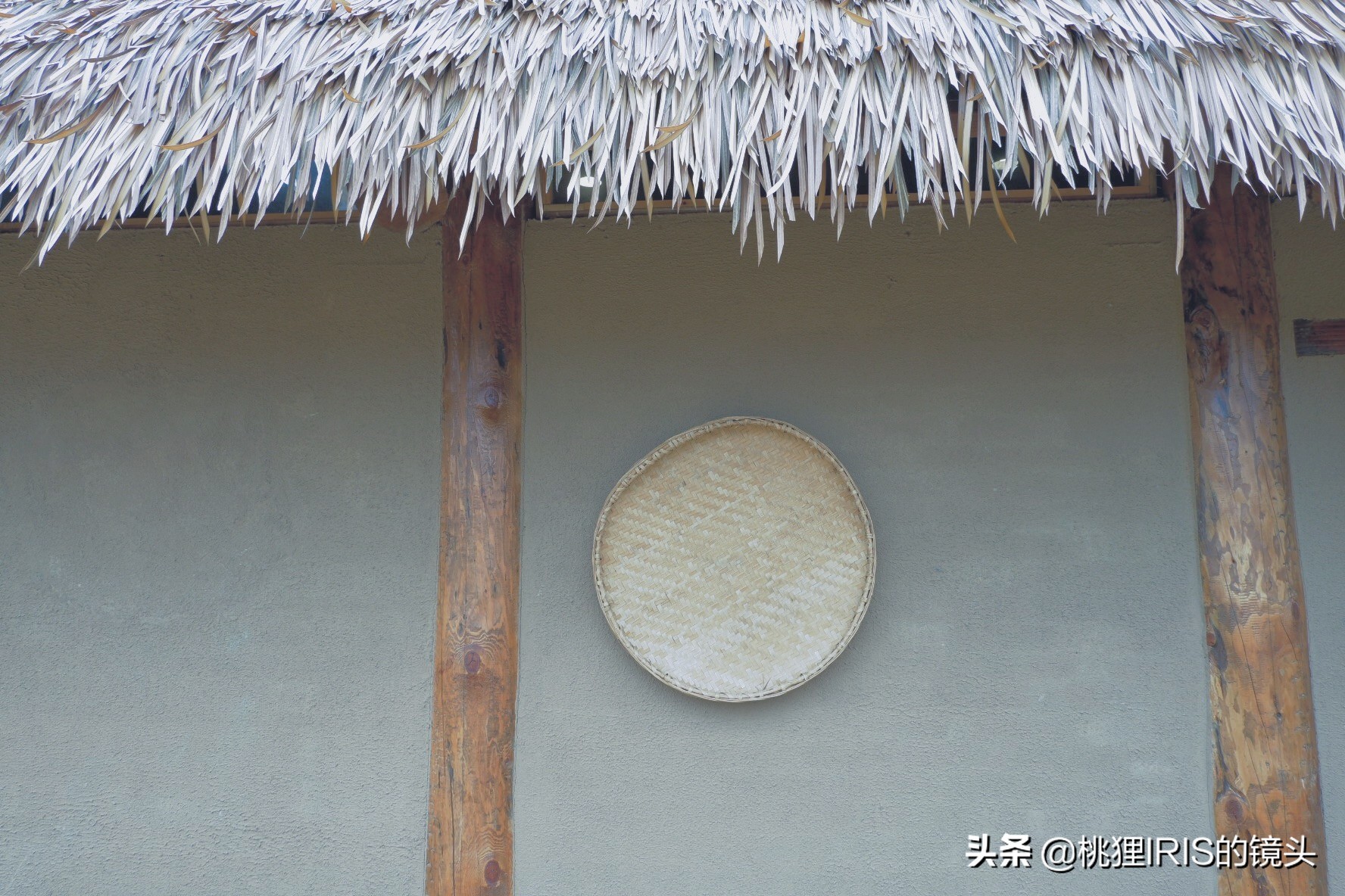 杭州小济州岛春游野营度假,良渚小奈良一日游