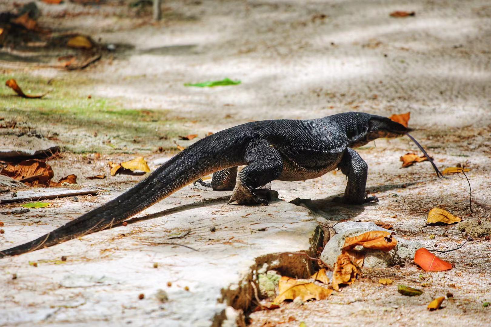 印度尼西亚天堂小岛,千岛之国印度尼西亚