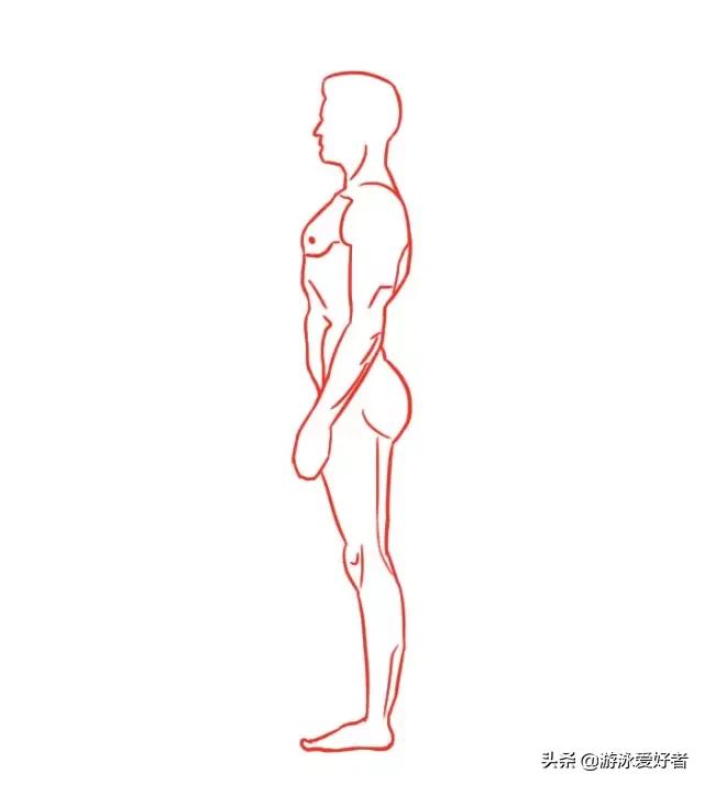 怎么游泳游得快又游得远,游泳哪种泳姿游得快