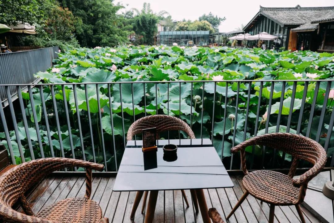 周末去哪里玩成都室内,周末去哪儿玩儿成都周围