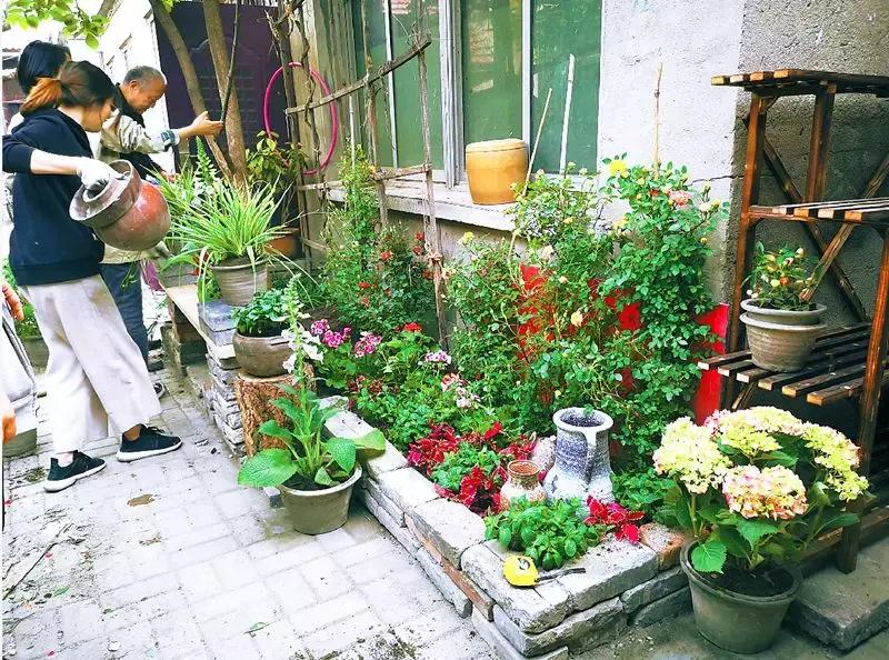 胡同里的日常生活,胡同里的北京生活