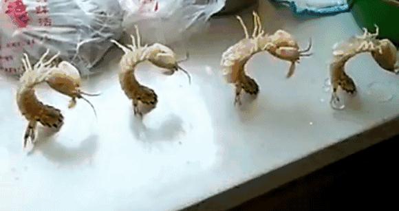 开海啦一大波生猛海鲜汹涌来袭,开海倒计时最全海鲜选购攻略