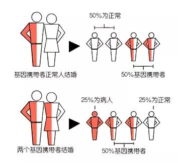 怎么预防地贫,地贫科普知识