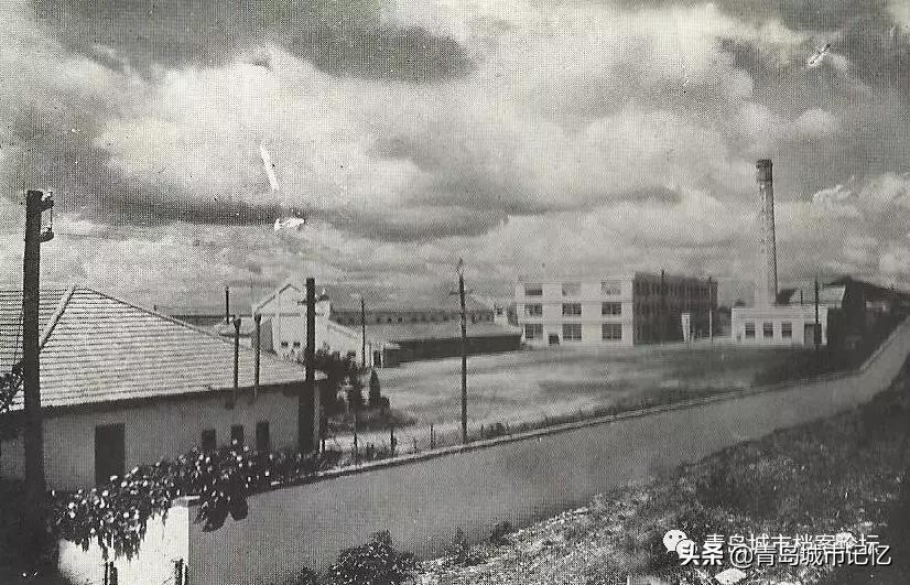 橡胶制品发展史,橡胶二厂历史简介