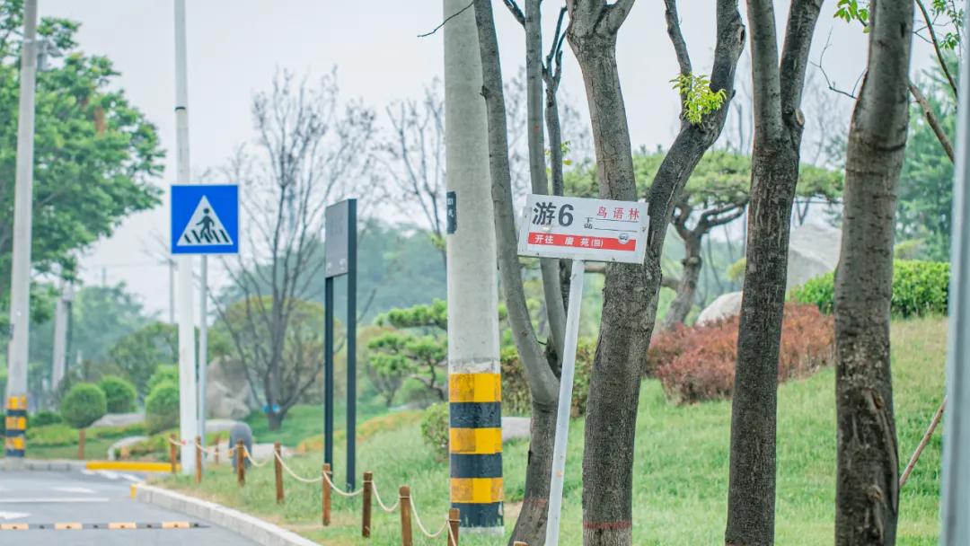 西安花海小森林,西安周边适合郊游野餐的地方