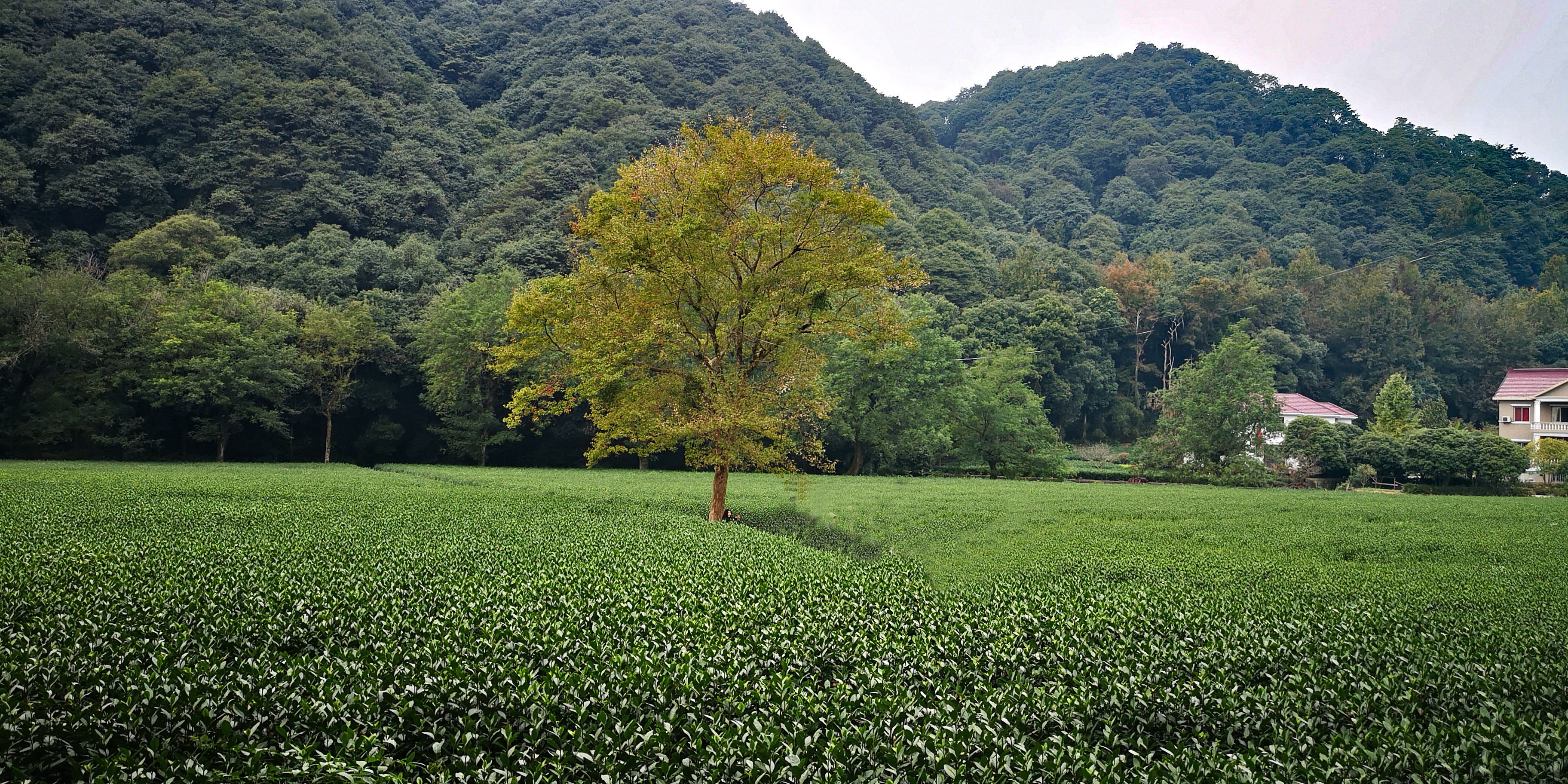 带你游杭州,从南京出发杭州周边城市旅游攻略