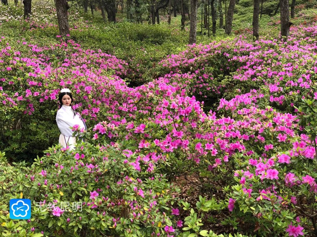 昆明哪有好玩的地方,昆明市内有什么好玩的地方