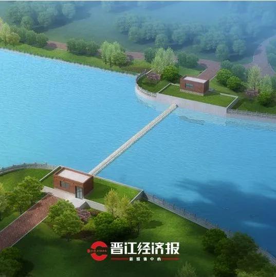 晋江樱花公园,不用去远方也能看到樱花