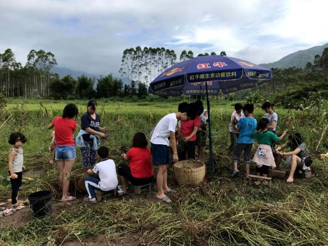 乡土散文拾麦子,乡土散文集
