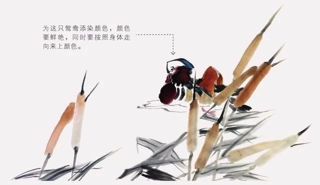 国画怎么把鸟画的活灵活现,如何画鸟要好看
