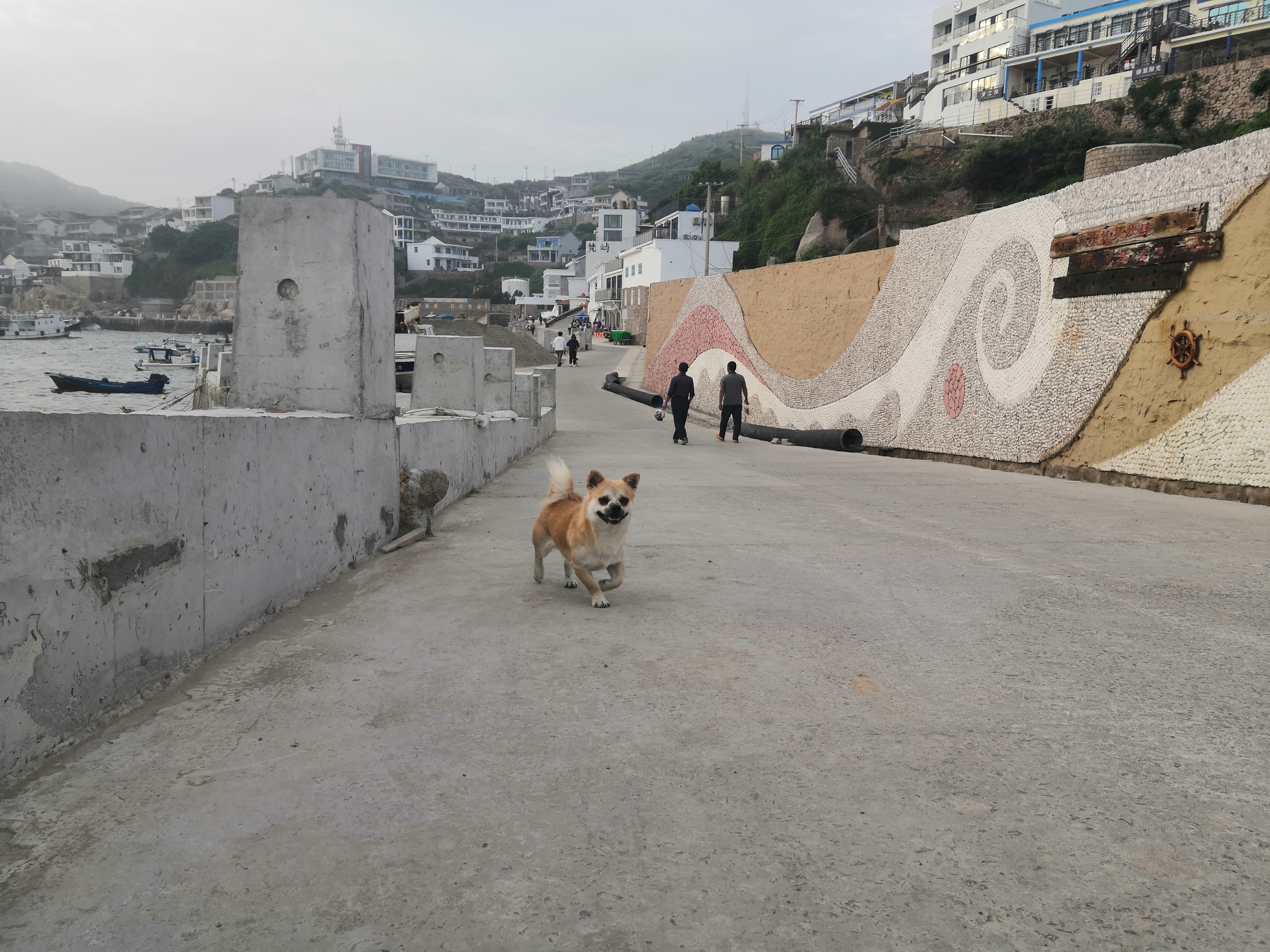 东极岛，这座远离城市喧嚣的小众海岛，因韩寒的《后会无期》大火