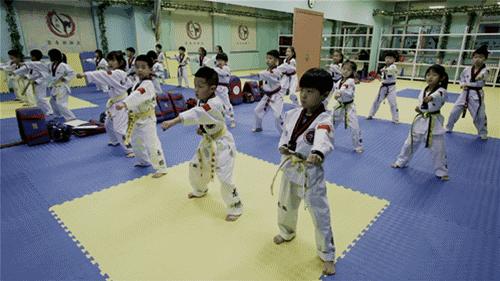 门头沟跆拳道哪个好,龙鹏跆拳道培训学校门头沟