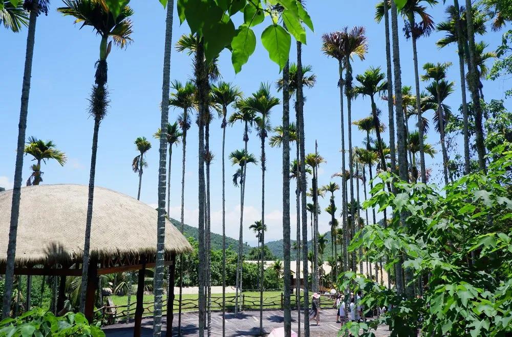 世腾控股集团怎么样,世腾控股