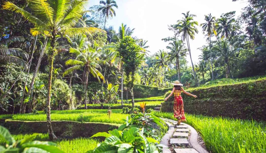 入境旅行险必须买吗,法国旅游入境保险条款