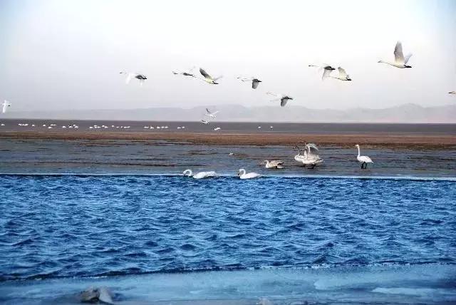 这是最值得收藏的旅行清单，顺着24节气，带娃游遍中国