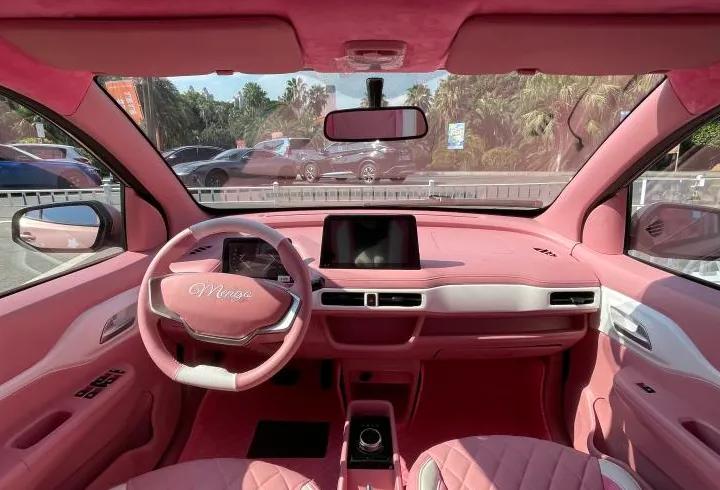 雷丁芒果2022款360人气版,雷丁芒果2022款200经典版配置参数