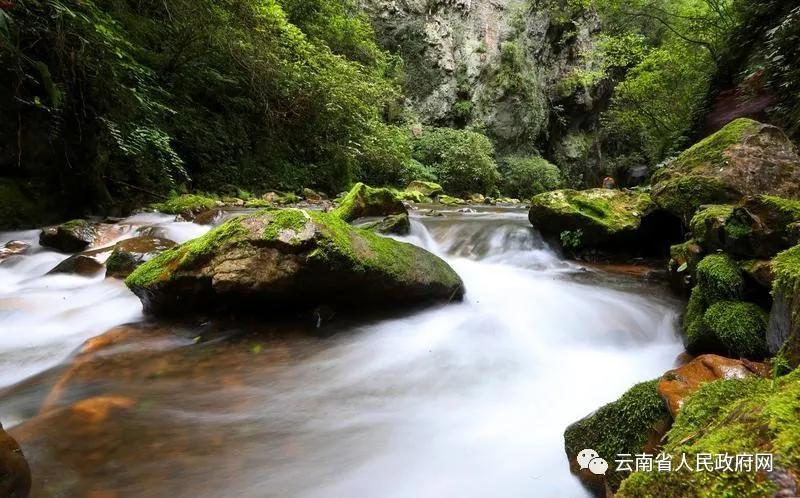 云南生物多样性保护工作,广州生物多样性保护工作亮点纷呈