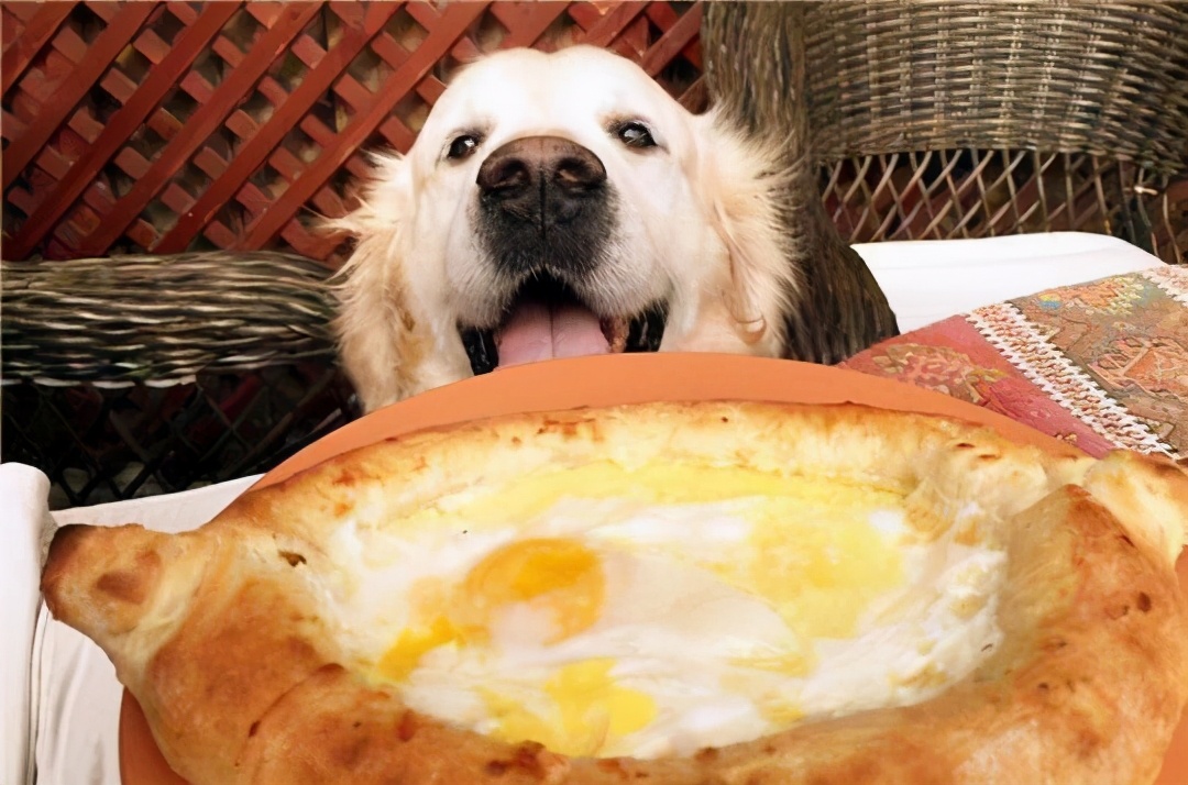 狗狗先拉干的再拉稀的什么原因,狗狗又吐又拉稀是什么原因