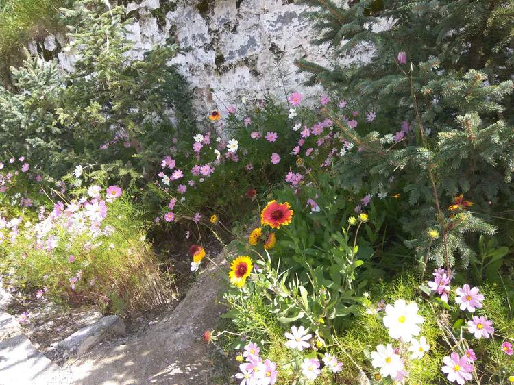 行游随笔,西藏布达拉宫一日游藏医