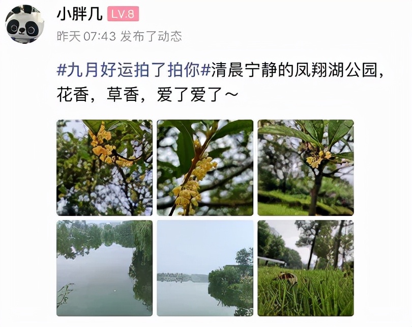 双流，我被你香醒了