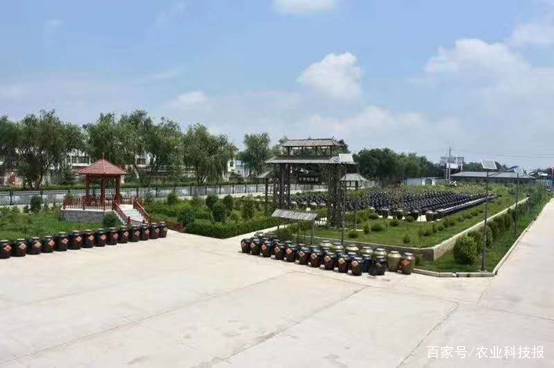 百年非遗老陈醋,醋百年古法传承