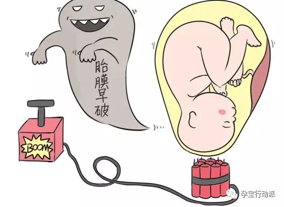 孕期周刊，第三十三周