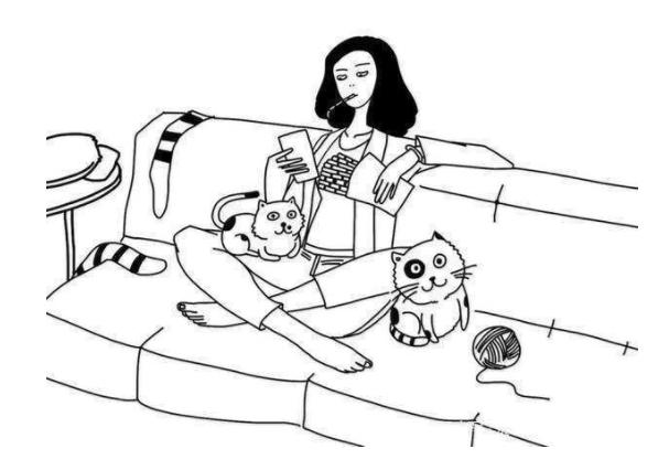 贪便宜买的猫,无良商家猫癣家里的猫全部中招