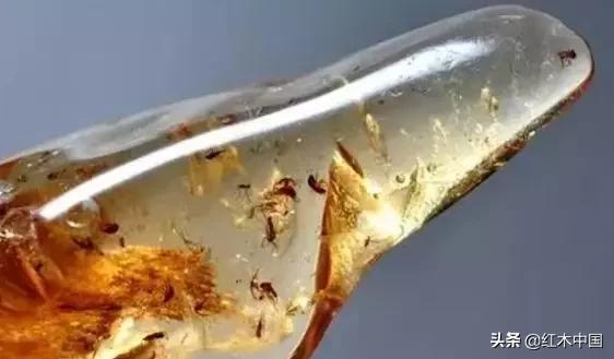 蜜蜡琥珀产地视频,俄罗斯蜜蜡和琥珀产地