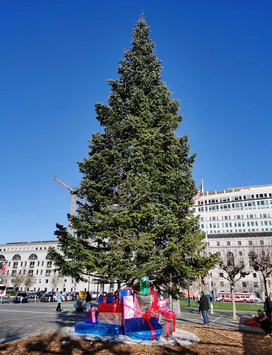 孙立宝,孙立宝外科主任