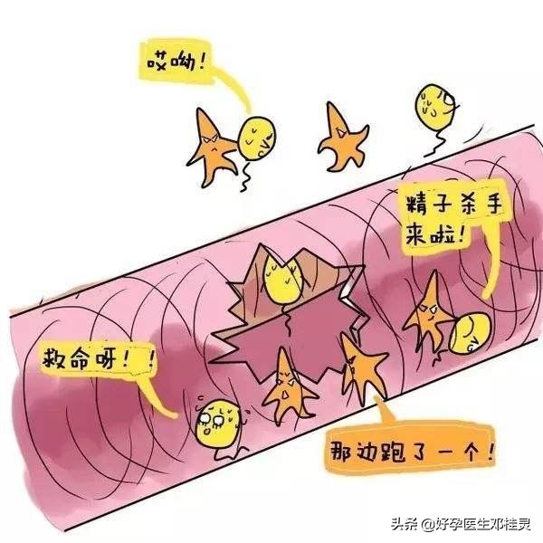 二胎8年不孕还能怀孕吗,二胎不孕需要输卵管造影吗