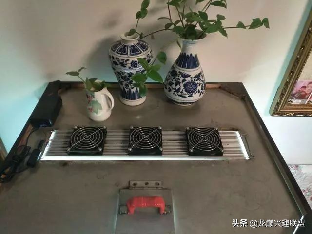 垃圾桶旁边的四方鱼缸，捡回去养了一缸金鱼，别说还挺不错