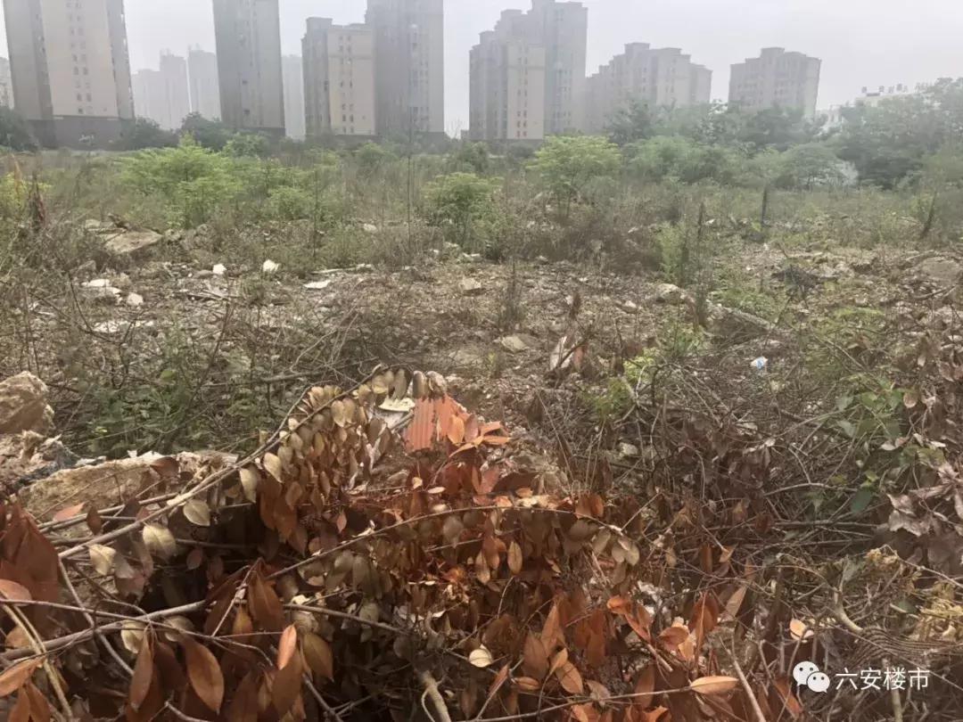 未拍先火！实探城东66.4亩住宅用地！已有房企来看地