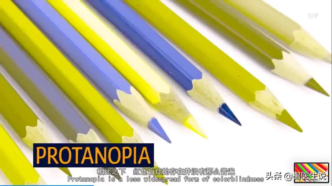 黑白色盲眼中的世界,色盲眼中的世界