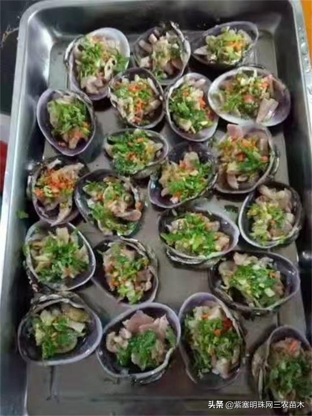 爱上一座城爱上一个人短视频,长岛大壮渔家民宿团购