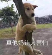 韩女星沦为太子爷吸金利器，被迫做了财阀替死鬼的内幕故事