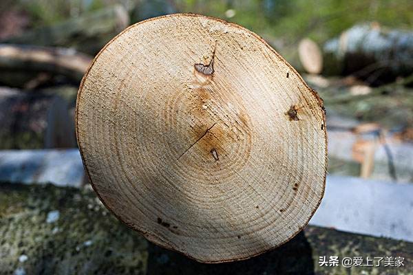 楼梯板用什么材质的好？这些材质，美观又实用！