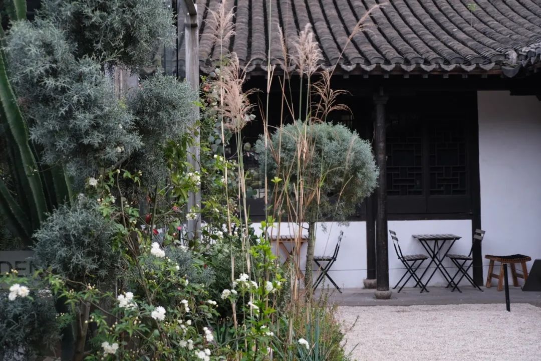 京城首家！探秘最热门“一尺花园”咖啡馆，西山脚*体下**会海派腔调