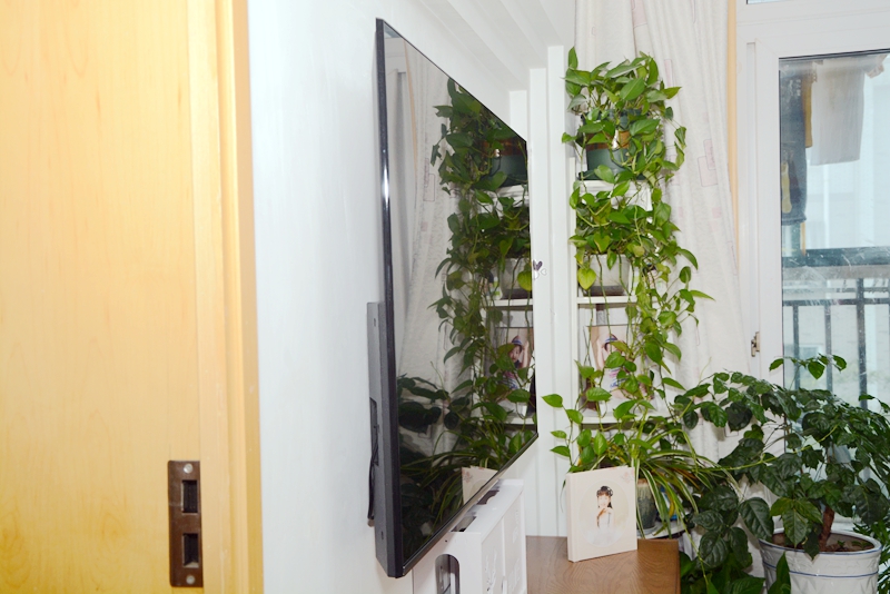 鸿鹄818芯片在电视芯片排第几,鸿鹄818智慧芯片什么级别