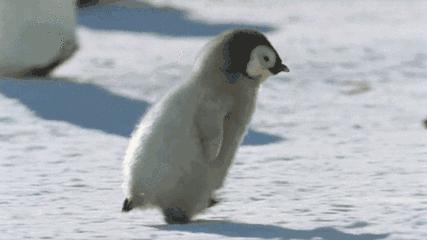 西安今冬将出现极冷天气,未来西安气温零下十几度