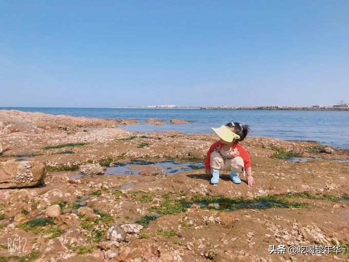 鲅鱼圈出发北京一日游跟团,鲅鱼圈最强攻略看完就出发