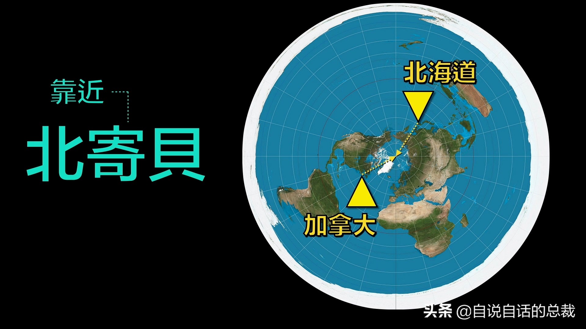 蛤、蚶、蛏、蚝、蚬有什么区别？这是一群美味海怪与人类的故事