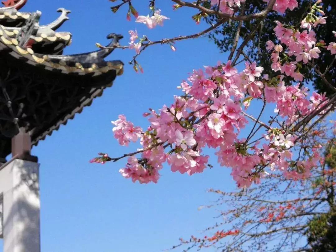 2020广州三八节免费景点,广州三八节哪些景点公园免费