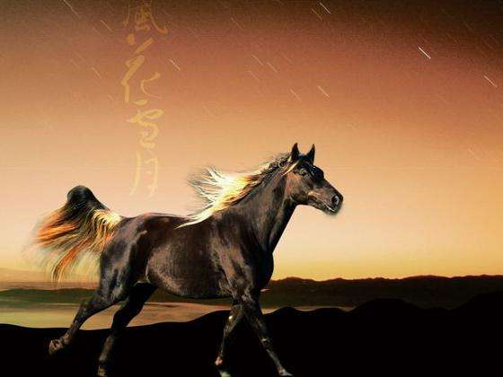 股票黑马买入法讲解,股票黑马选股教学