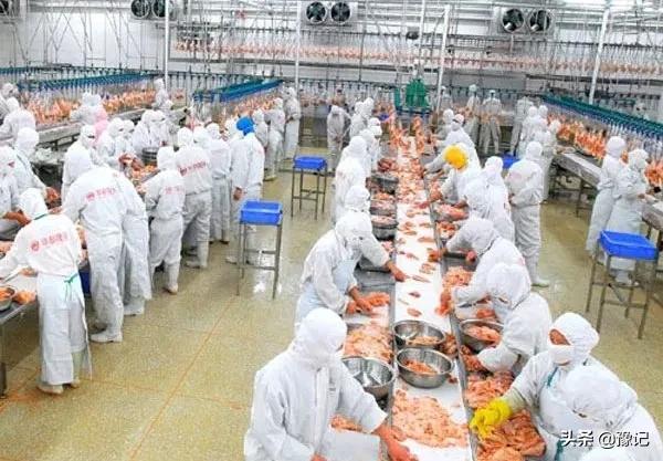 国内最大的中央厨房产业园,为啥会建在原阳?|豫记