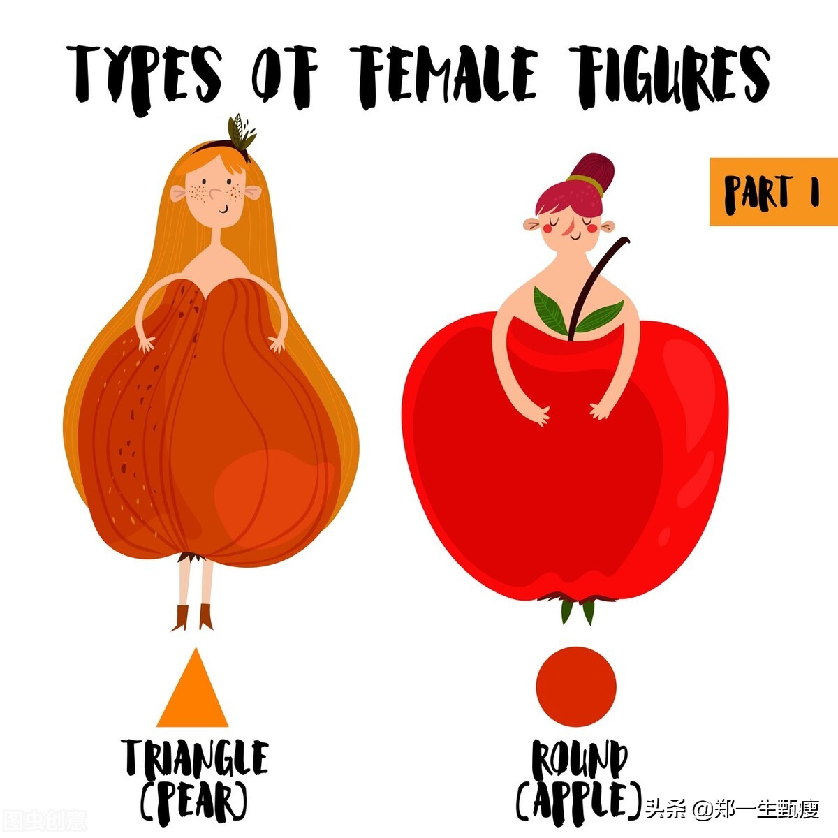 人的身高随年龄变化曲线图,人的骨架会随年龄变化吗