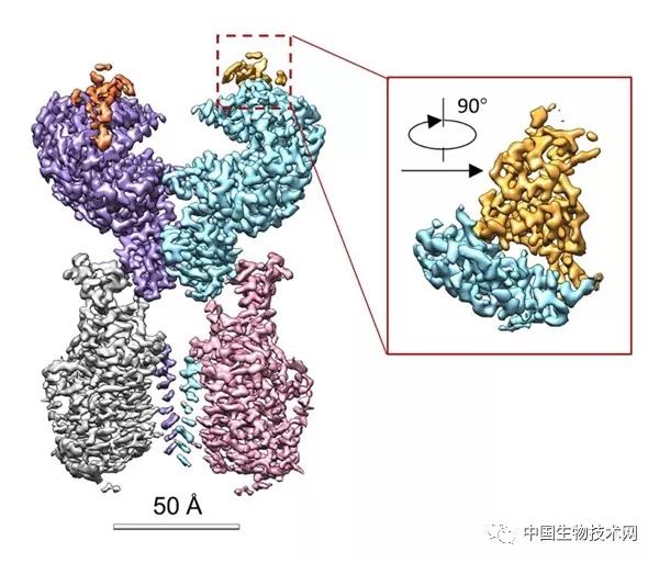 西湖大学新冠肺炎,中国新冠病毒夺去了多少人的生命