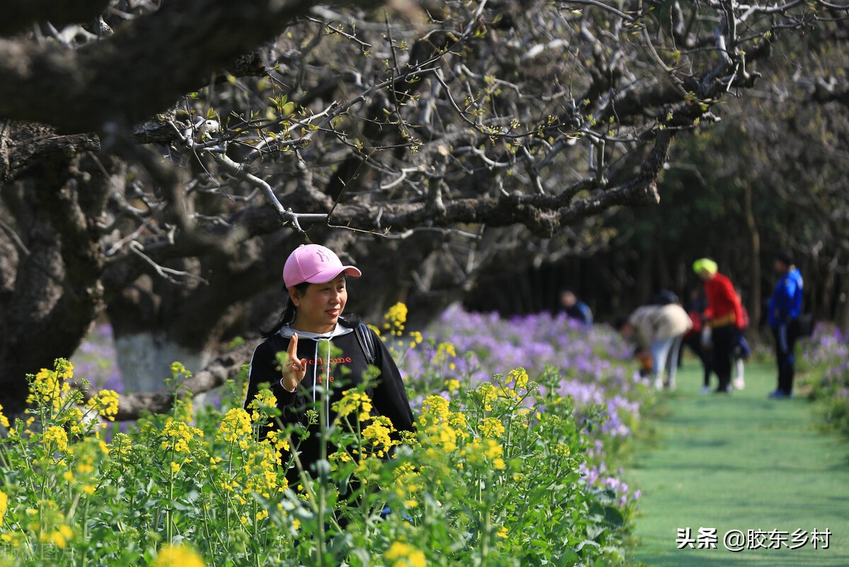 2021年夏天热不热?夏至即将来临,牛年三伏天有多少天呢?