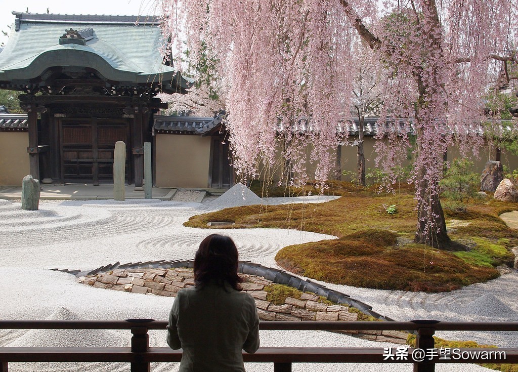 日本园林十大枯山水庭院,日式园林庭院枯山水桥