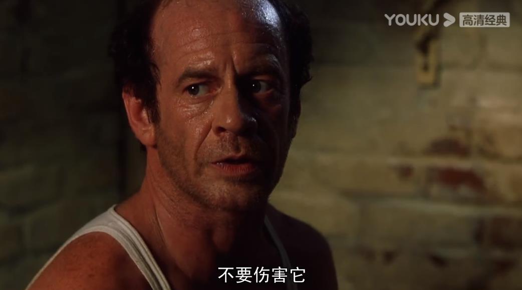 绿里奇迹是治愈电影还是致郁电影,绿里奇迹表达的深层含义